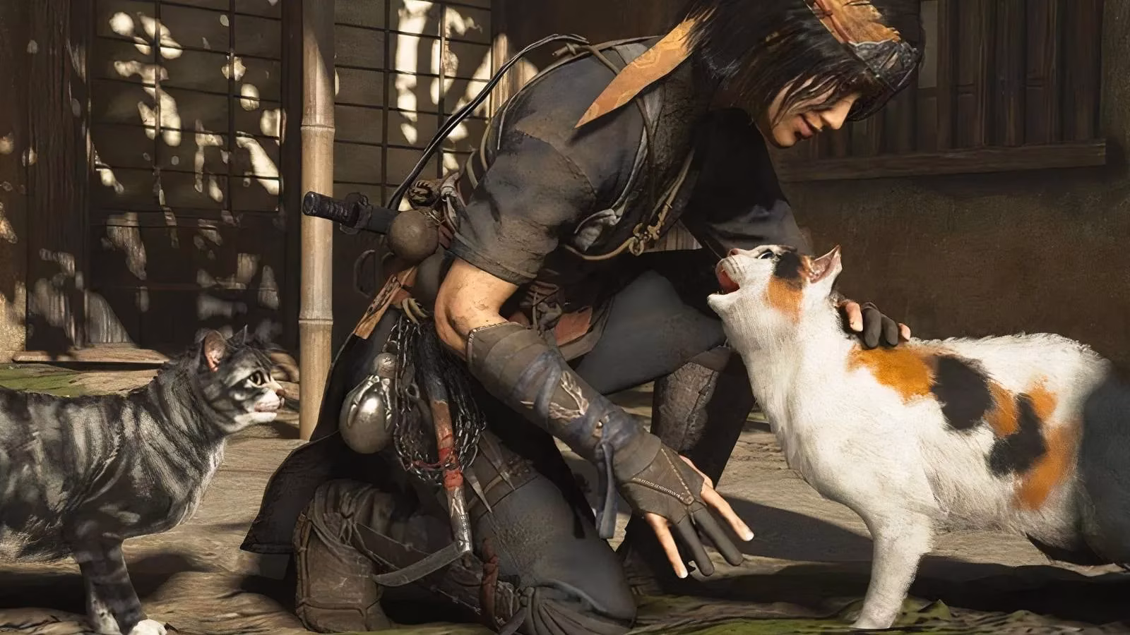 a-developer-s-love-for-his-cat-the-heartwarming-ghost-cat-easter-egg-in-assassin-s-creed-shadows-image-0